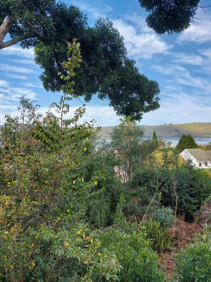 0 Bedroom Property for Sale in Paradise Western Cape